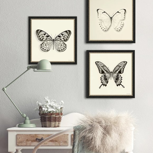 NIB Framed Butterfly Graphic Art Print - Picture 4 of 7